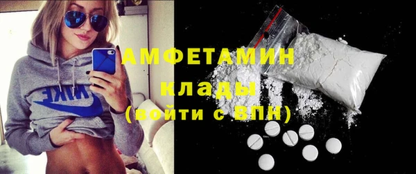 прущие грибы Медногорск