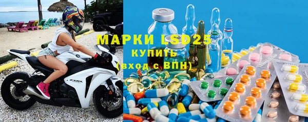 прущие грибы Медногорск