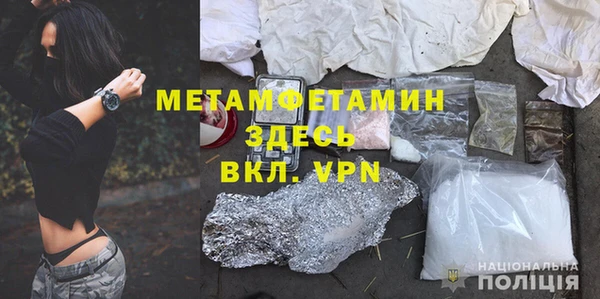 прущие грибы Медногорск