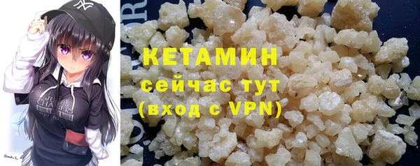 прущие грибы Медногорск