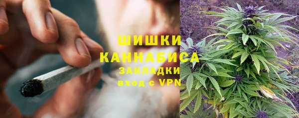 прущие грибы Медногорск