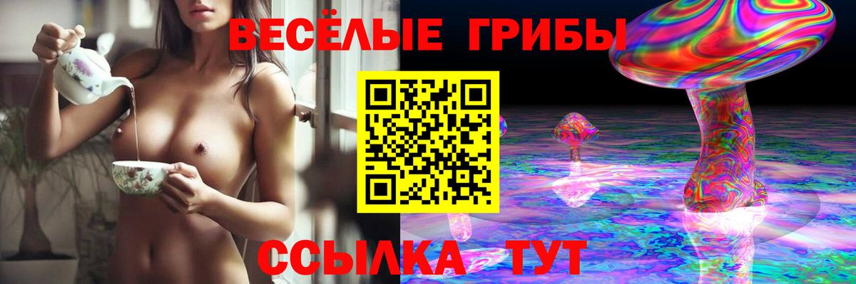 Псилоцибиновые грибы Psilocybe Тихорецк